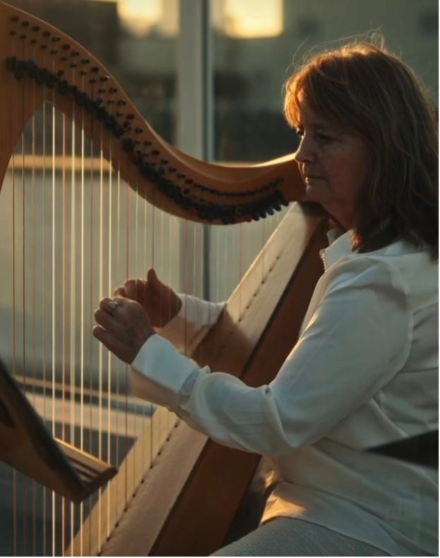 live musician img